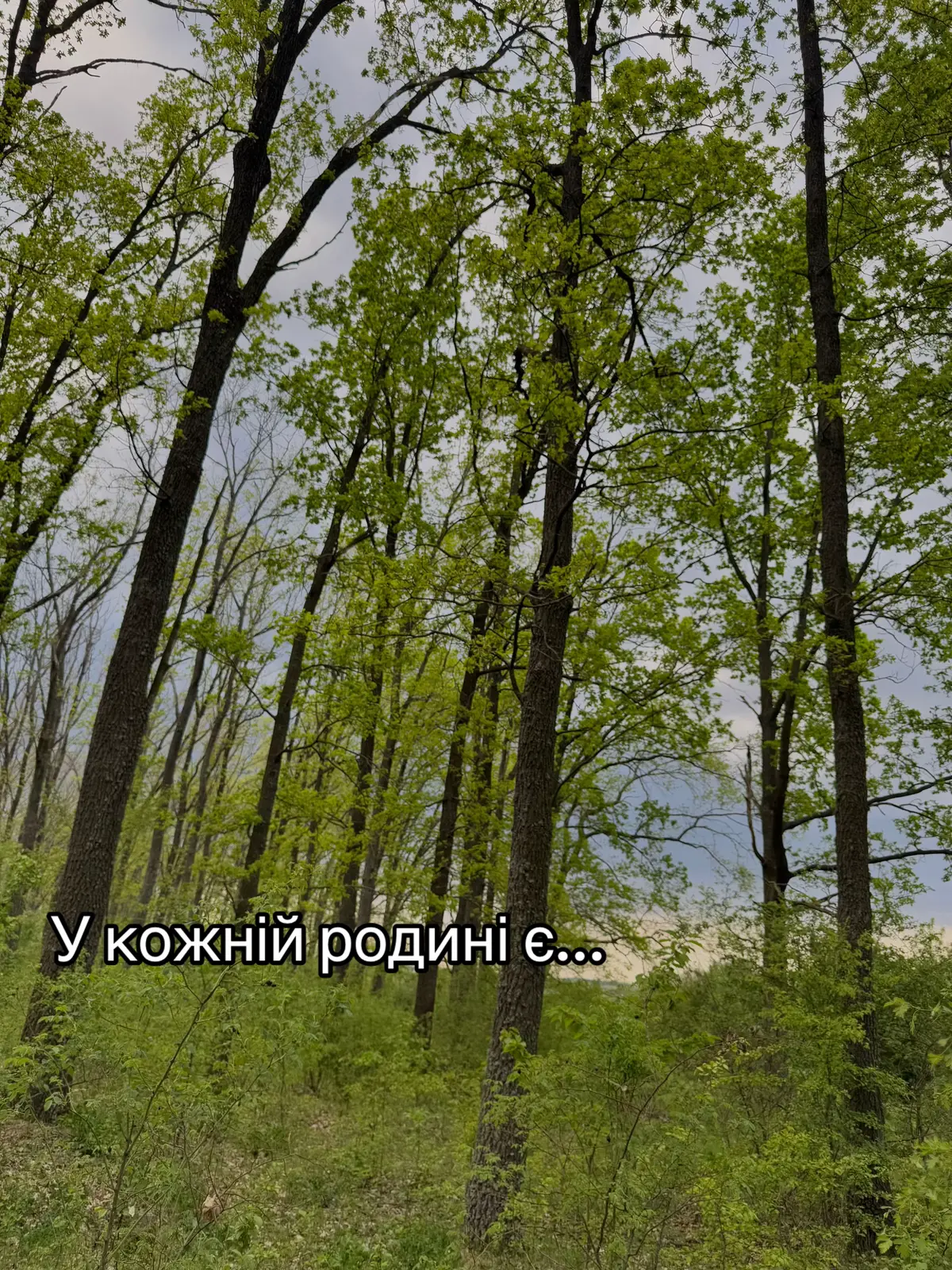 #глобальныерекомендации #глобальныерекомендации #тіктокрекомендації #братик 