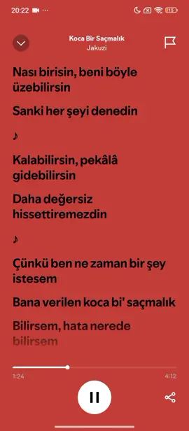 Song Name: Koca Bir Saçmalık