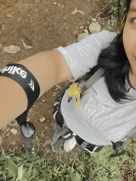 🗻🗻