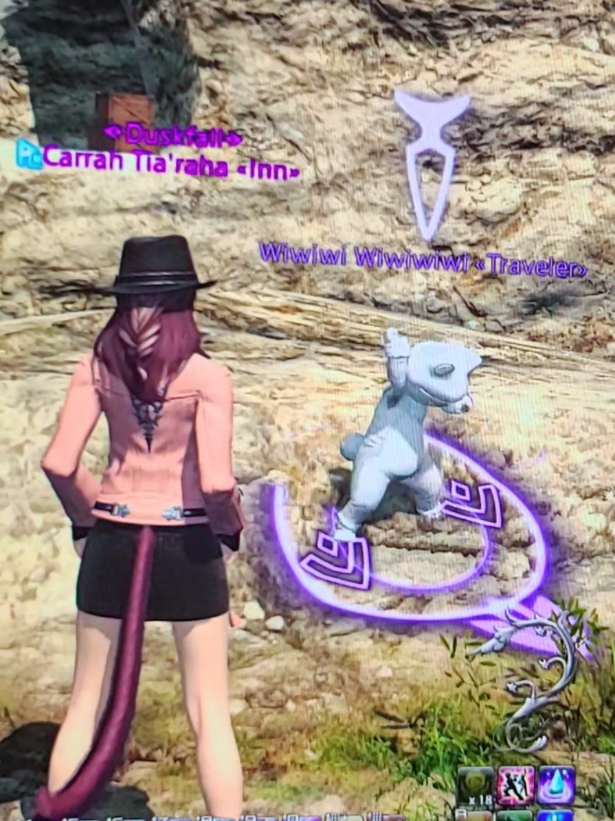 THE CHASE OF WIWIWI CONTINUES! I don't know if there will be an update again between now and next time I stream... but I am so confident they were a stream viewer 👀 #ffxiv #finalfantasyxiv #finalfantasy #ff14 
