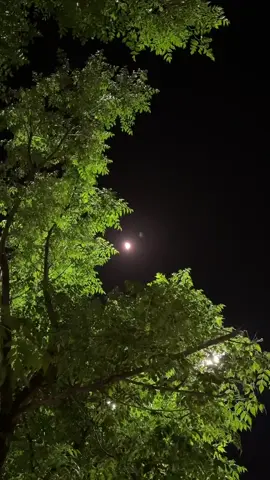 #القمر #عشقي #الهدوء_راحة_نفسية #