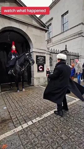 watch what happened #kingguardhorse #royalguard #kingguard 
