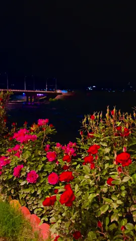 #sheladze♥️👑_deralok_♥️sirye👑 #شيلادزي_هه_مي_ره_نگ😊👌 #سروشتي_شيلادزي #سروشتي_جواني_كوردوستان #nature #dohok_zaxo_akre_semel_hawler #شعب_الصيني_ماله_حل😂😂 