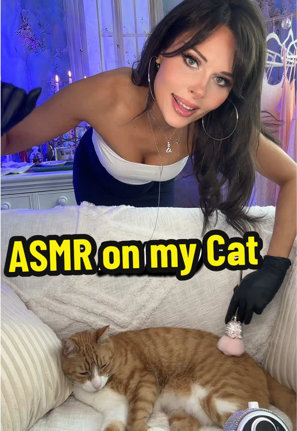 ASMR on my Cat 🐈 #asmr #purring #satisfying #relaxingvideos #calming #catsoftiktok 