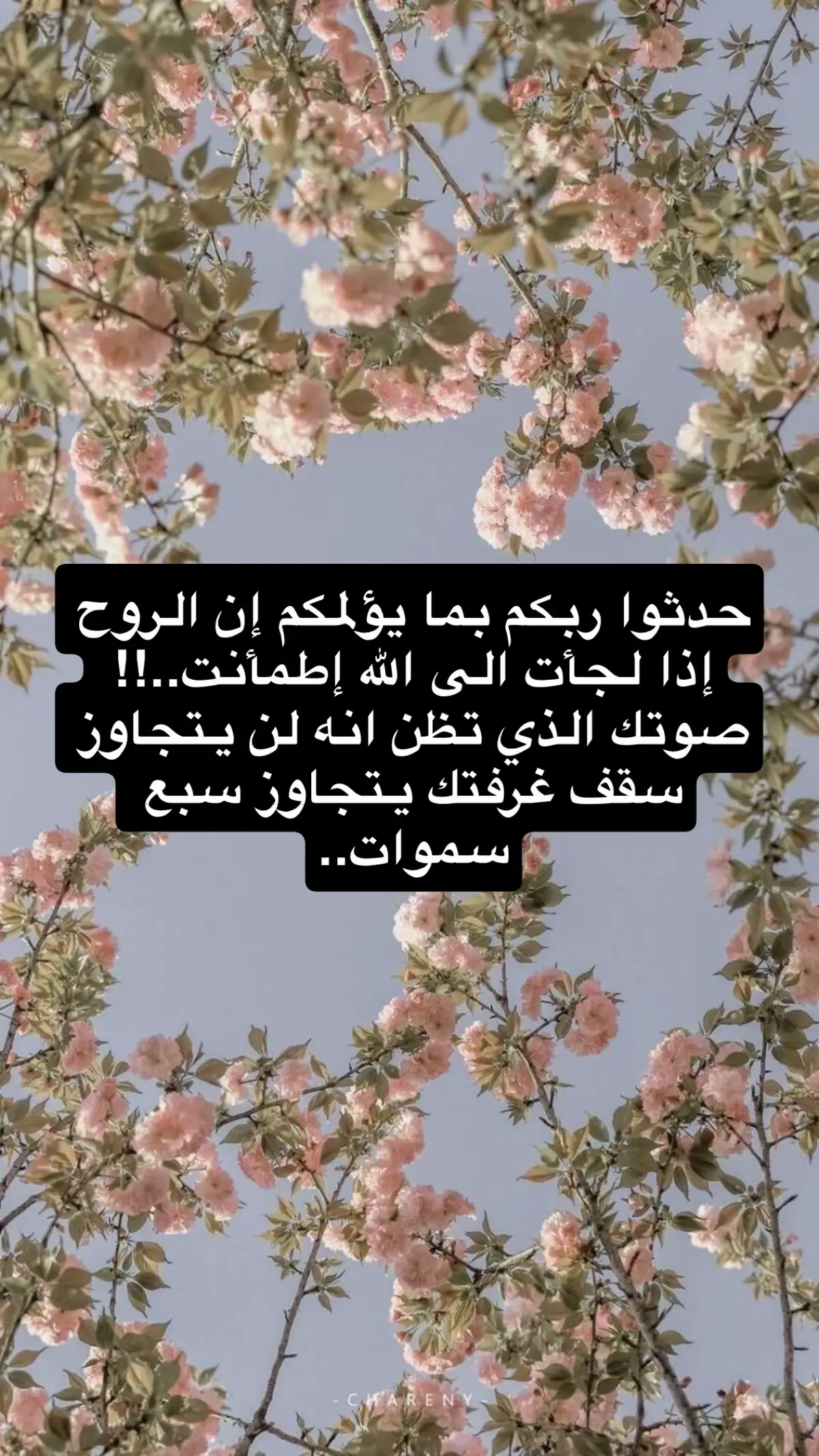 #foryou # #امطار #تخرج #explorerp 