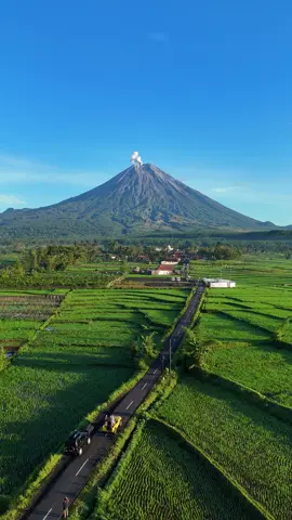 View teras semeru pakek drone #dolan #fyp #pronojiwo #fypシ #hiling #jalanjalan #jalanjalan #videomentahan #viewsemeru #lumajang #gunungsemeru #gunungsemeru #sarkawi #terassemeru 