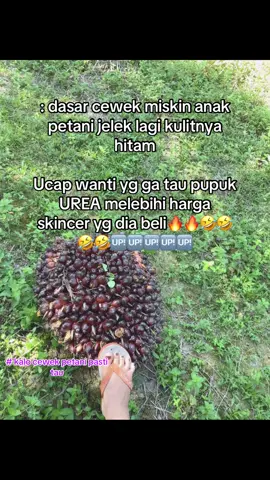 🆙🆙🆙🤪🔥🔥#fyppppppppppppppppppppppp #fouryou #🌴 #petanimuda #sawit #kulibapak #kalimantan 
