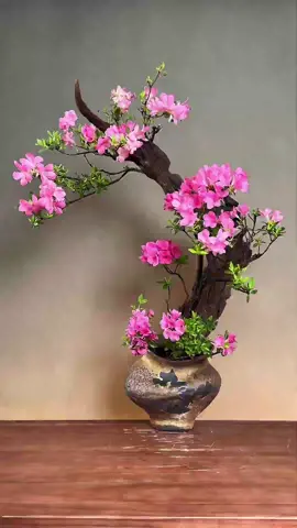 Ikebana 💐 #ikebana #ikebanaflowers #生け花 #flowerarrnagement #japan #日本 #japaneseculture #いけばな #nihon #fyp #foryoupage #flowers 