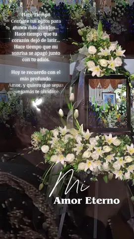 #amoreterno#teextraño😭🕊️🕊️  #papá 
