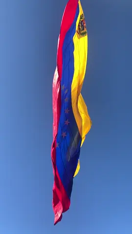 #venezuela #venezuela🇻🇪 #vira #freedom 