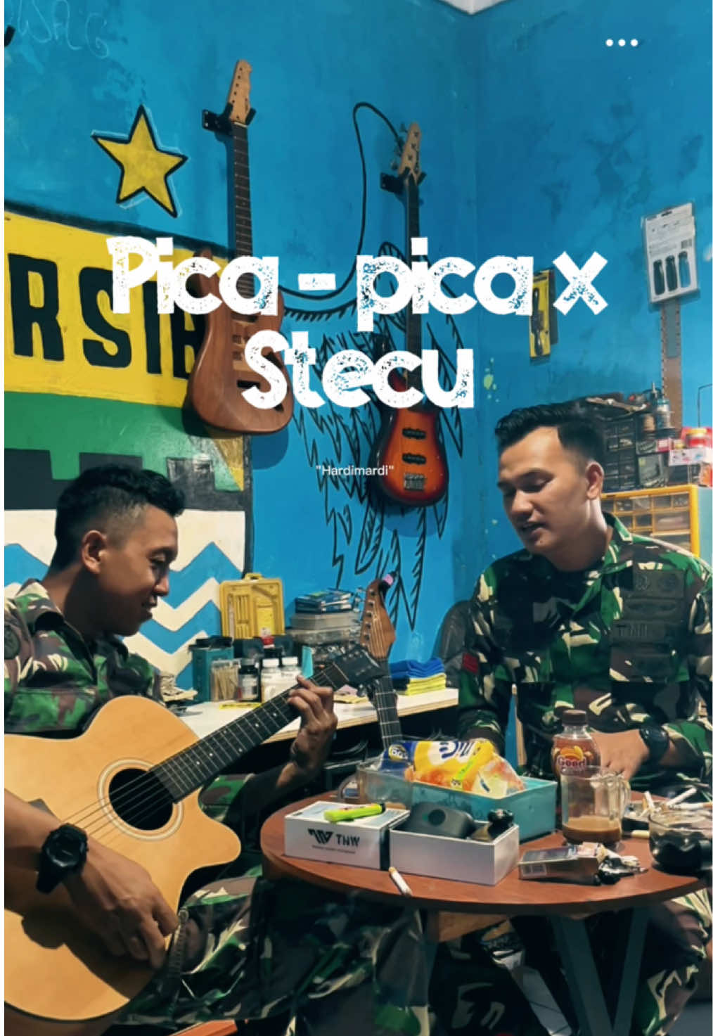 Pica - pica X stecu  Kabarin kalo lewat di beranda kalian ya guys 😁 #stecu #picapica #cover
