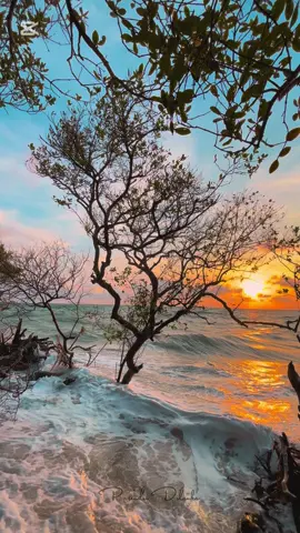 මායාකාරි සැදෑවක්……. 🌅🌊🏖️ #sunset #sunrise #magic #srilanka #බත්තලංගුණ්ඩුව #baththalangunduwa @akila basnayaka @danu_official @L A K S H I T H A 🖤 @Kavindu Hansamal 