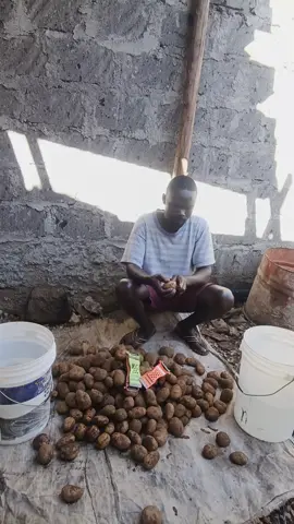 life is hard but we keep on trying we will make it......... always trying......... much love family..... #keeptrying#nevergivingup#tillwemakeit#onelove#kenyantiktok🇰🇪#tiktoklive#fyp #fypシ゚ 