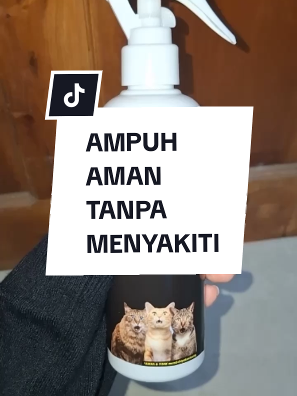 Pengusir kucing liar ampuh, aman, tanpa menyakiti✨ #fypage #pengusirkucingliar #tanpamenyakiti #kucingliar #bertani 