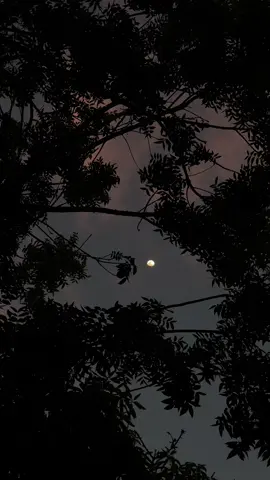 #MOON  