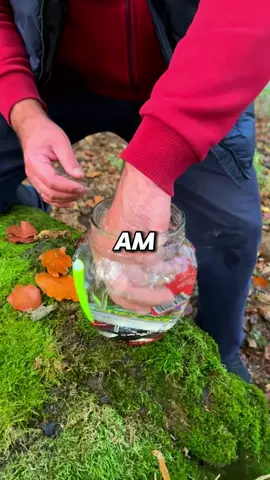 #askreddit #ask #LearnOnTikTok #story #redditbysubs 