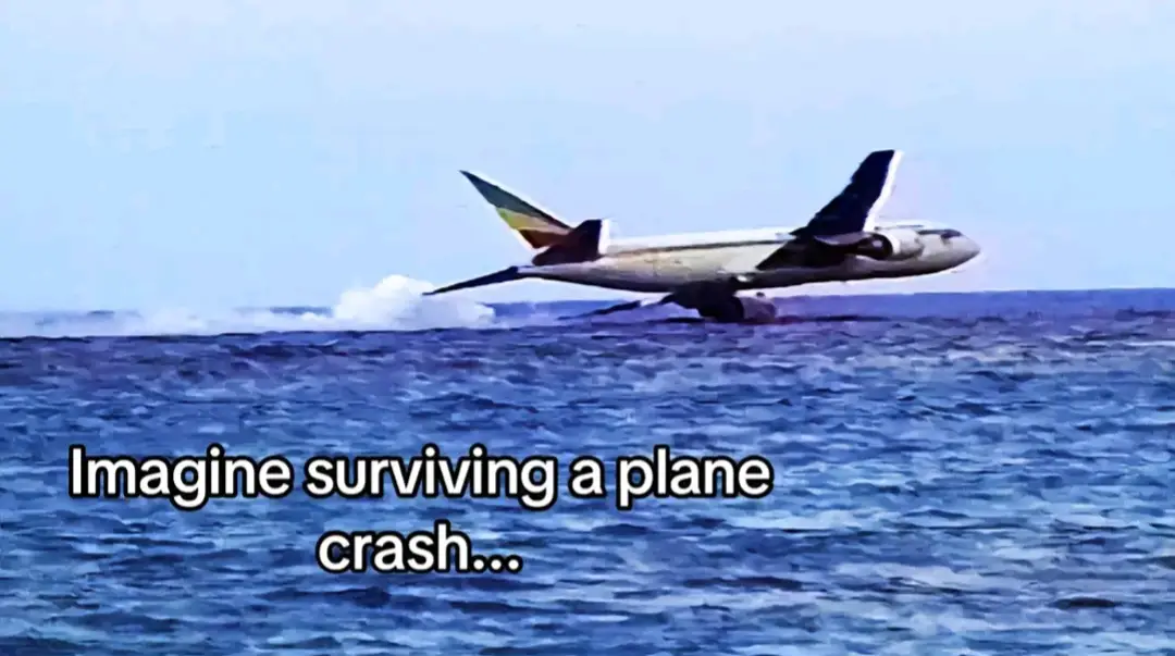#fypppppppppp #viral_video #chcembytvofypdopici #foryoupage #fyp #phobia #goviral #instagram #jedenliketanezabije #tiktok #videoviral #planecrash
