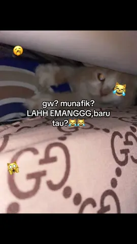 wkwk😹#hastag#MUNAFIK?#kanloygngajarin#woppa#4u#masukberanda.