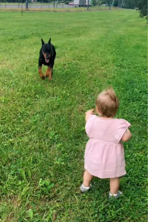 Dogs are the best guardians of children ❤️#dog #Love #baby #pet #tiktok #friends #dogsoftiktok #foryou #usa🇺🇸 