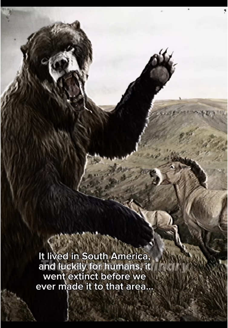 The fact at the end is INSANE we are so lucky we didn’t live with the Arctotherium. #prehistoric #extinctanimals #iceage #arctotherium #bear #shortfacedbear 