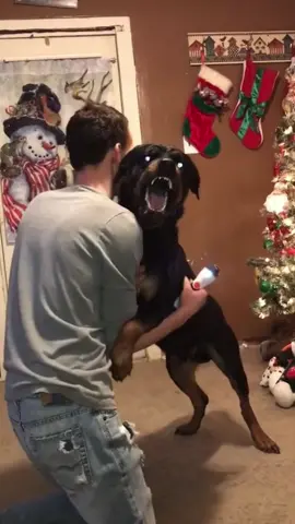 Bro don’t worry my dog doesn’t bite#funny #funnyvideo #dog #lol 