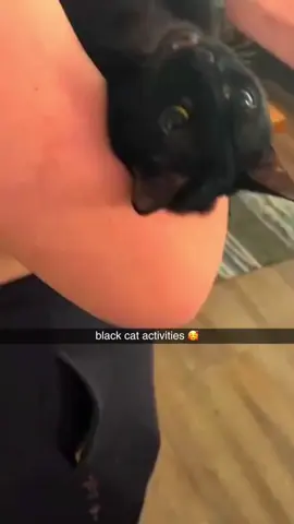 Black cat😂#cats #funnyvideo #foryou #catsoftiktok #funnyanimals #funnypets #fypシ #tiktok 