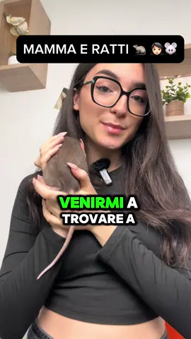 Fatemi sapere voi come la pensate! ❤️🐀#CapCut #ratti #ratto #ratatuille #ratts #ratt #topo #topi #animali #mamma #perte #mammaefiglia 
