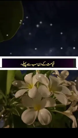 #trendingvideo #speechless #motivational #deeplines #viralvideo #anmol #urdupoetry #foru 