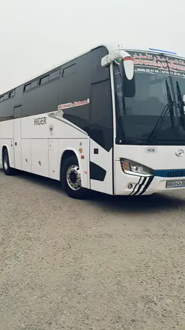 ورقلة غرداية الاغواط الجلفة المدية البليدة الجزائر 