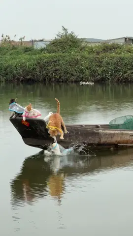 Report Captain！Your crew members fell into the water one by one!
