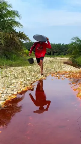 Looking for gold and panning for gold buried in river walls #goldpanning #mininggold #goldhunter #golddiscovery #viralvideo #foryou #foryoupage 