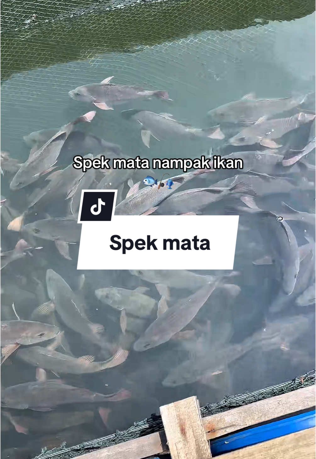 Baru la anti kumpau bila nampak ikan dengan spek mata polarized🐟 #fishing #fishon 