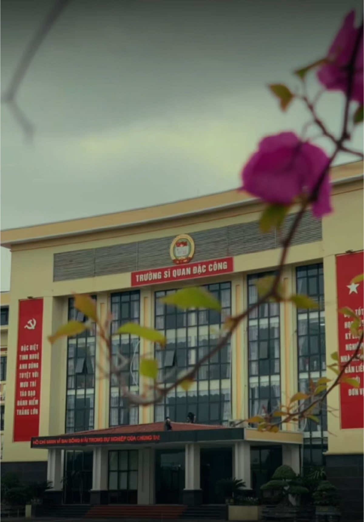 Trường sĩ quan đặc công #daccongvietnam #truongsiquandaccong #quandoinhandanvietnam🇻🇳 #bodoicuho #chubodoi #xuhuong 