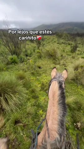 #ecuador🇪🇨 #chagrasecuador #chagras_x_herencia🐂🍻🤠😍 #fyp 