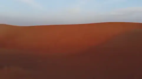 #pyramid #dogsoftiktok 