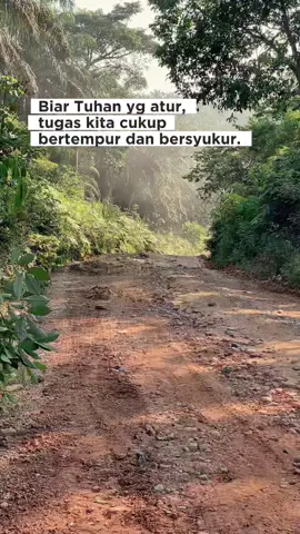 #CapCut #truksawit #truksawitjambi #fyp @@hidayatwahyu82 