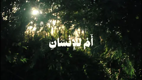 سورة النجم (٢٦-٢٤) أَمْ لِلْإِنْسَانِ مَا تَمَنَّىٰ . . . . #تلاوة_خاشعة #quran #قرآن #قران_كريم #ام_للانسان_ما_تمنى #أم_للانسن_ماتمنى_فلله_الاخرة_والاولى #الحصري #محمود_خليل_الحصرى #الشيخ_الحصري_رحمه_اللَّه #سورةالنجم #سورة_النجم 