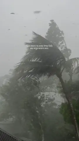 কথা সামান্য নয়,কথার উপরে ভিত্তি করে মানুষ আকাশ দেখে।🤍