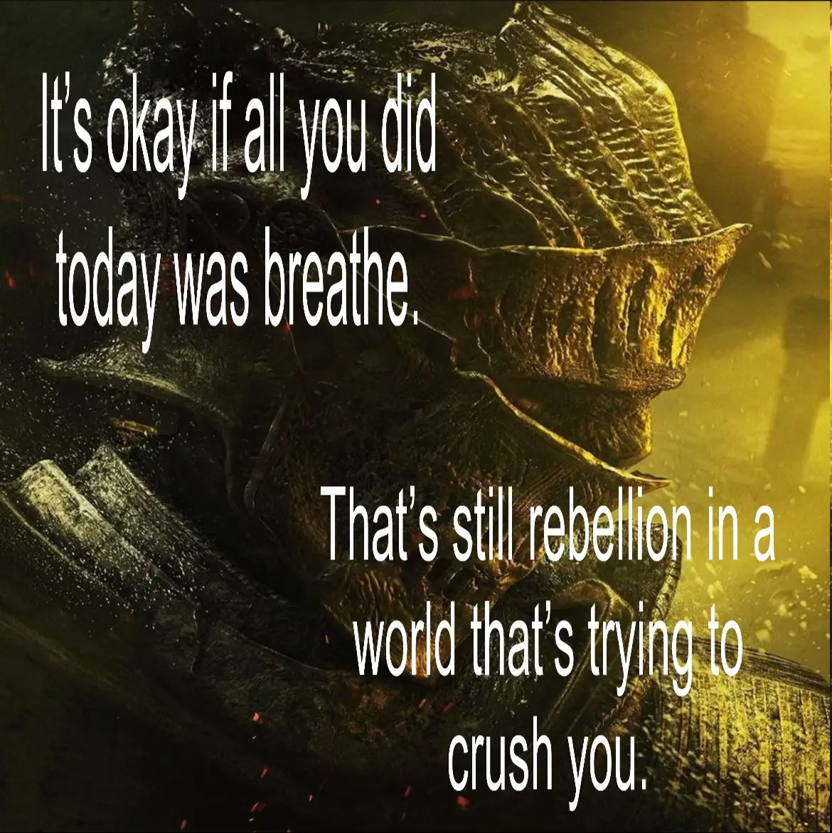 feelin kinda overwhelmed so heres the hopecore 🙏🙏 #hopecore #fyp #darksouls3 