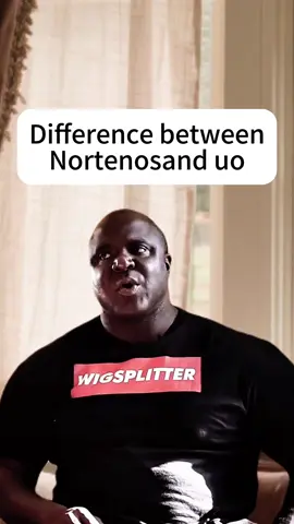 TikTok Takes Down Inappropriate Anime Character Filters #Sureno #Norteno #Chicano #tiktok #fypシ #story #pyf #Ganglife #pov #fyp #foryou