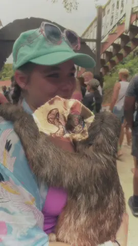 Just out here living life one slow blink at a time🦥🌺 #Summer #cruise #sloth #zoo #trendy #vacation #tropical #narrator #fyppppppppppppppppppppppp #fun #TropicalVibes #IslandLife #fyp  #ParadiseFound #BeachPlease #OceanMood #SlothLife #PalmTreesAndBreeze #VitaminSea #TropiCool #sunkissed 