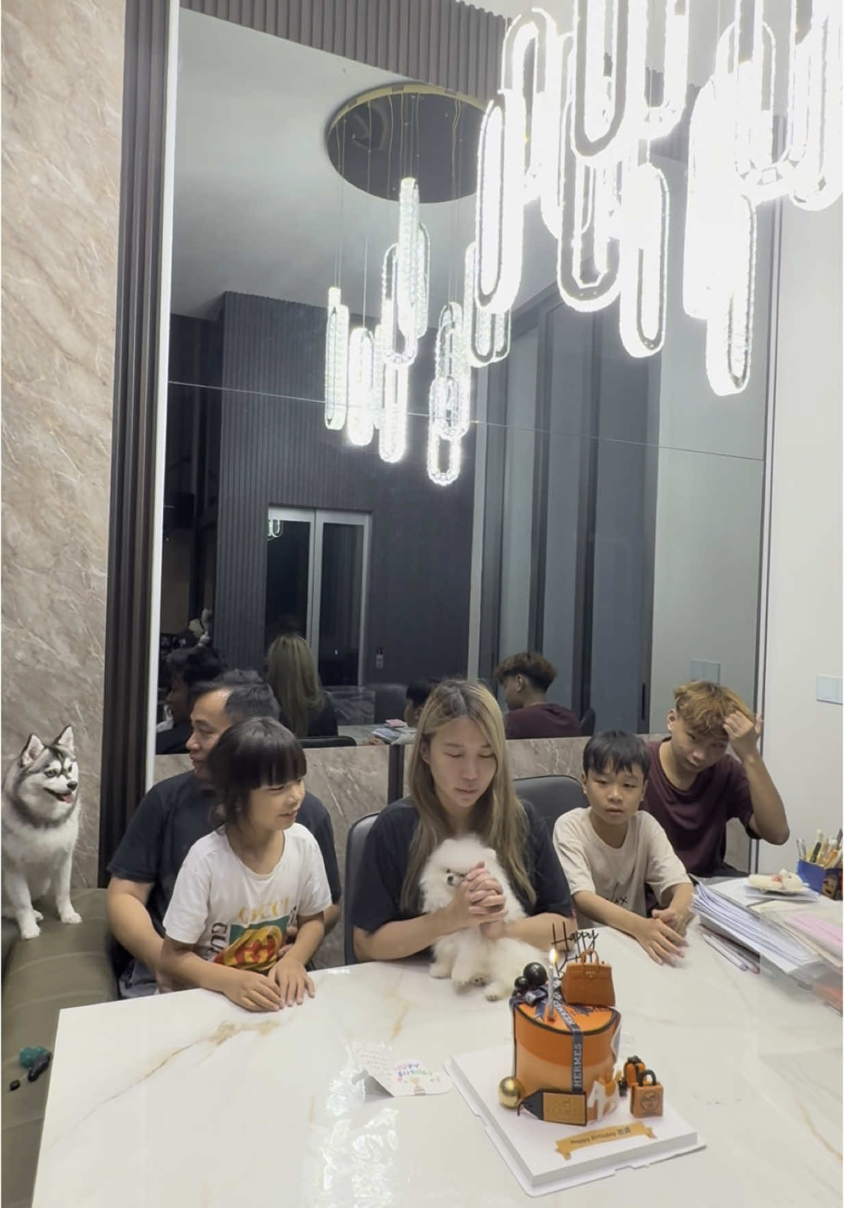 @♡Flaskyuna ♡ @FANboy @Cassandra Birthday Celebration with my 💖💖💖  #pomsky #puppy #funny #cute #dog #pomerian #husky #crossbreed #fox #raccoon #wolf #snow #shorts #reels #Vlog #tiktok #singapore #baby #babypomsky #dogs #dogoftiktok #tiktoker #siberianhusky #ireland #import #snow #snowwhite #9gag #funnyvideos #funnyreels #dogmeme #cutedog #cutehusky #pet #animal #animallover #instahusky #cutehusky #fyp #foryou #foryoupage #coco #cookie #candy #callie #birthday #birthdaycelebration #gift #birthdaygift #present #loving #lovely #sweet #sweetlove #happy #happiness #joy #family