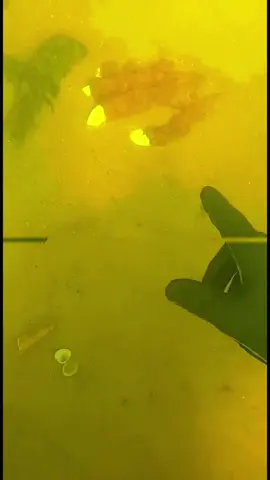 #underwatertiktok #LearnOnTikTok #fyp