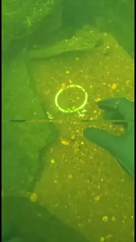 #underwatertiktok #LearnOnTikTok #fyp