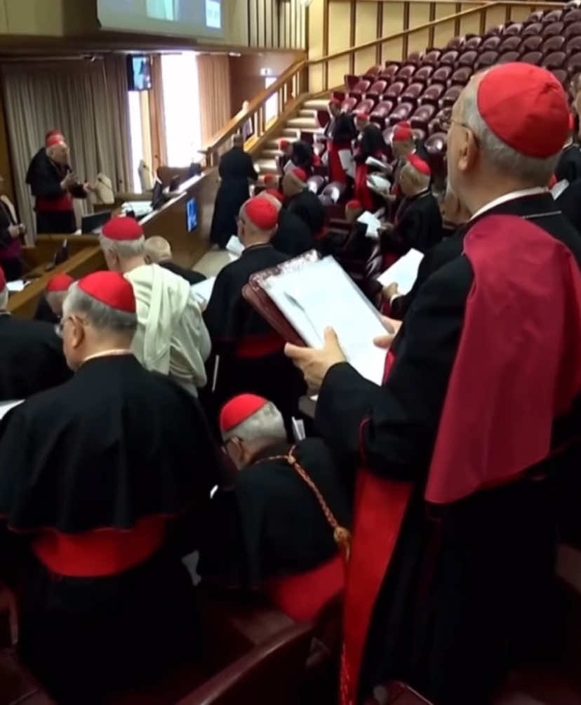Estava terminando de editar quando a fumaça branca surgiu, Habemus Papam!! 🤍 | #catolicos #papa #pope #papado #papacy #robertsarah #cardinalrobertsarah #burke #cardinalburke #luisantoniotagle #cardinaltagle #matteozuppi #cardinalzuppi #pietroparolin #cardinalparolin #cardinalscherer #odiloscherer 