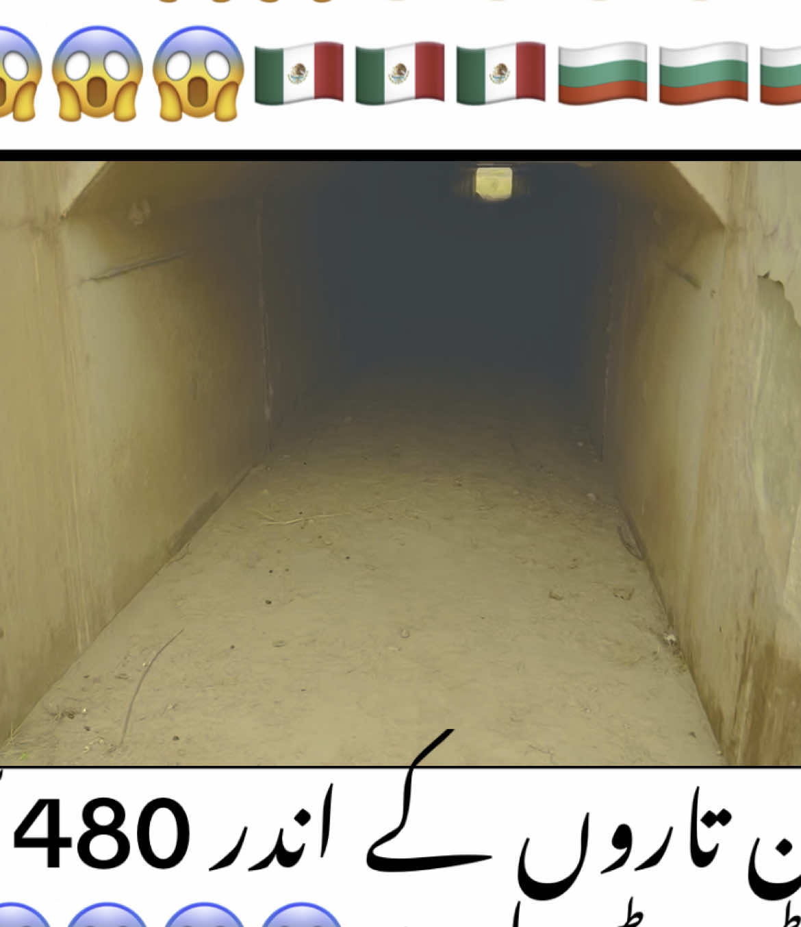 اللہ کا شکر ہے ہمیں ڈونکر پاکستانی مل گئے ہیں😭😭#foryoupage #tarnding #foryou #Dankipanama #danki #Dankipanama 