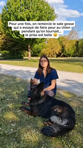 Pendant que je filmais, j'avais trop envie de l'engueuler mais la prise était trop belle ! Imaginez si ça avait été un chien réactif... Tout pour embêter le monde vraiment...  Il a continué à nous tourner autour après donc c'était bien volontaire.