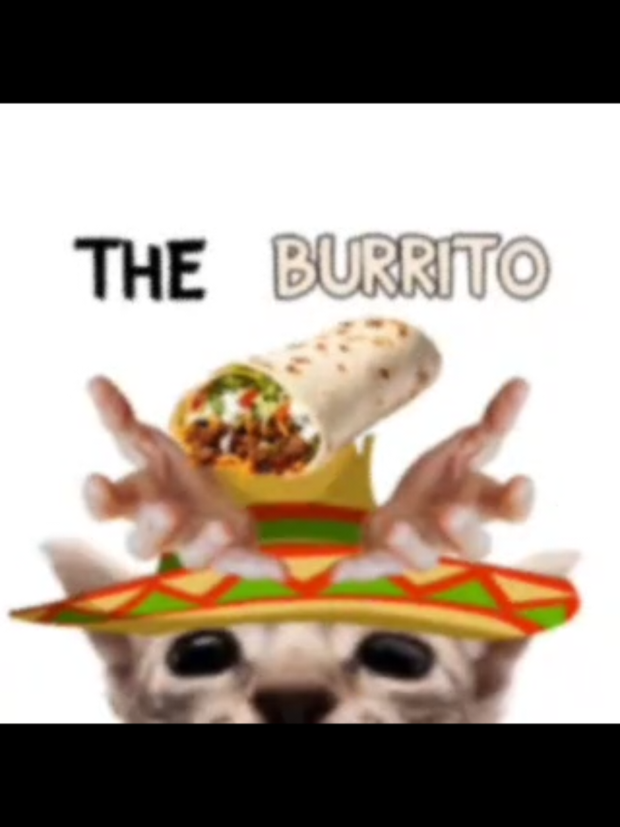 Elgatito likes the burrito 🌯 #fyp #elgatito #foryou #meme #cat 
