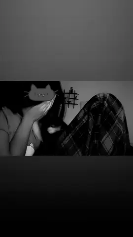 I miss you cat #fyp #anime 