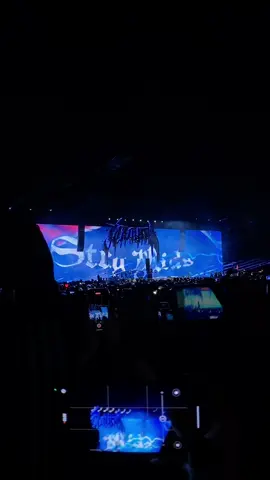 Definitivamente uno de los conciertos que más he disfrutado ❤️‍🔥 #straykidsmexico #StrayKids #dominatetourstraykids #dominatetourmexico 